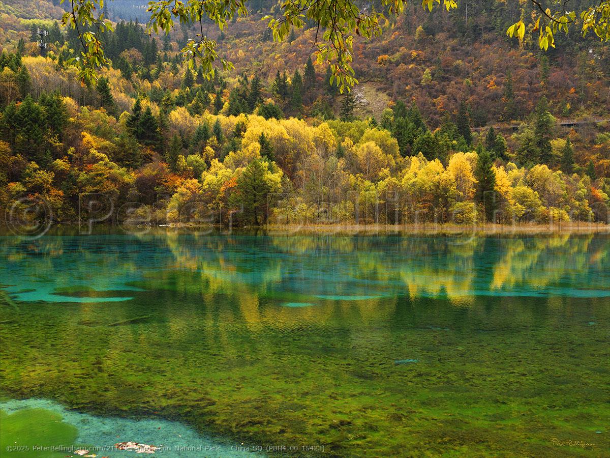 Peter Bellingham Photography Jiuzhaigou National Park - China SQ (PBH4 00 15423)